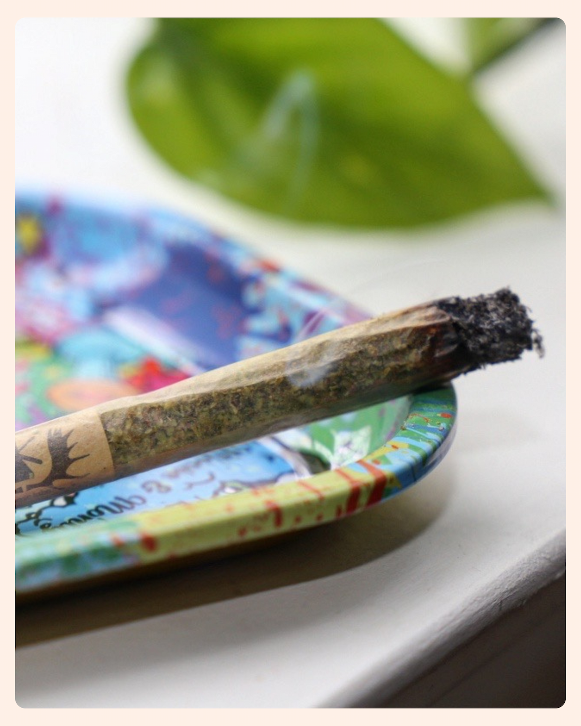 30% Off Pre Roll Cones