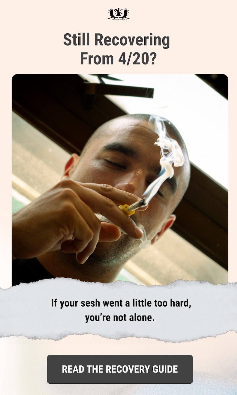 Still Recovering From 4/20? Read the Recovery Guide