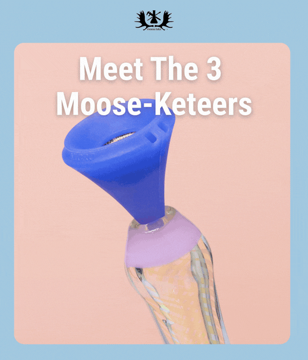 Meet the 3 Mooseketeers