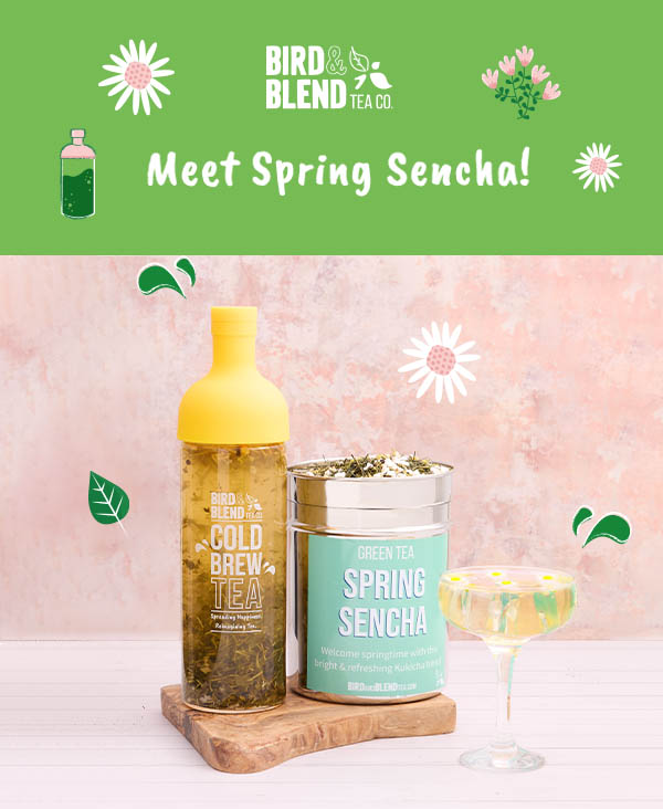 Spring Sencha Tea