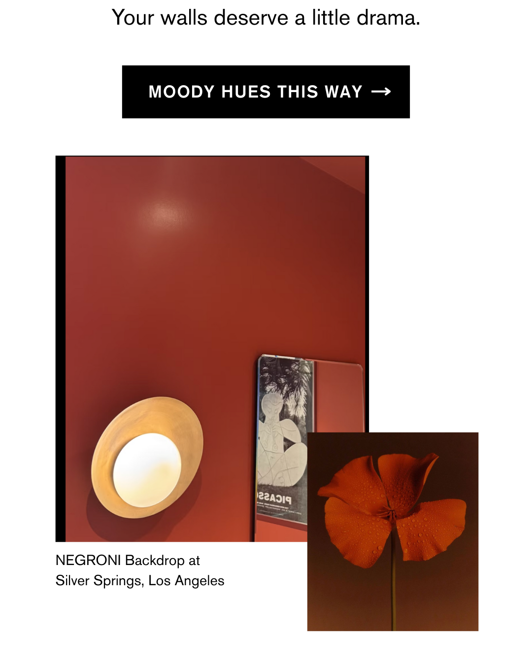 EXPLORE RED AND PURPLE HUES