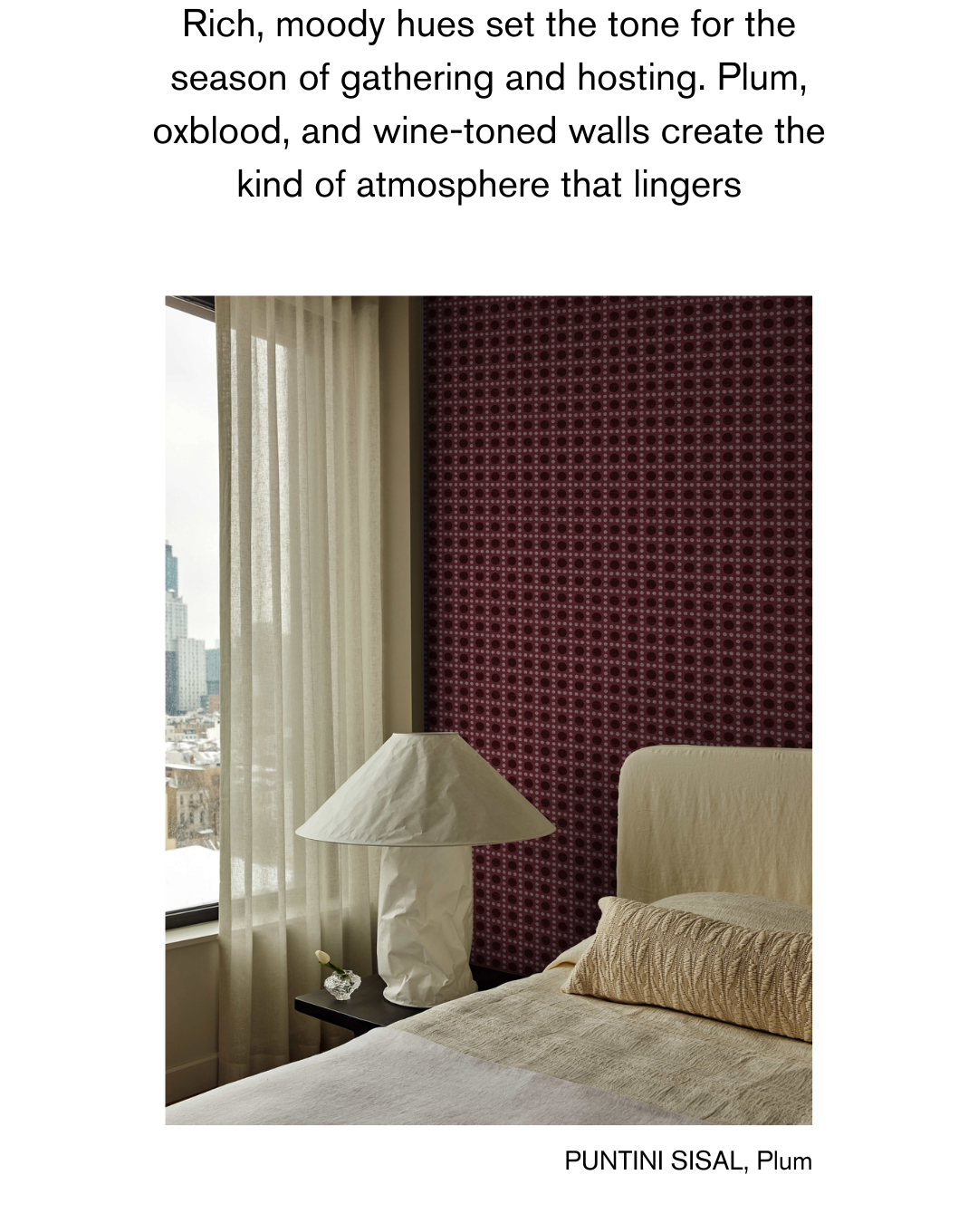 PUNTINI SISAL in PLUM