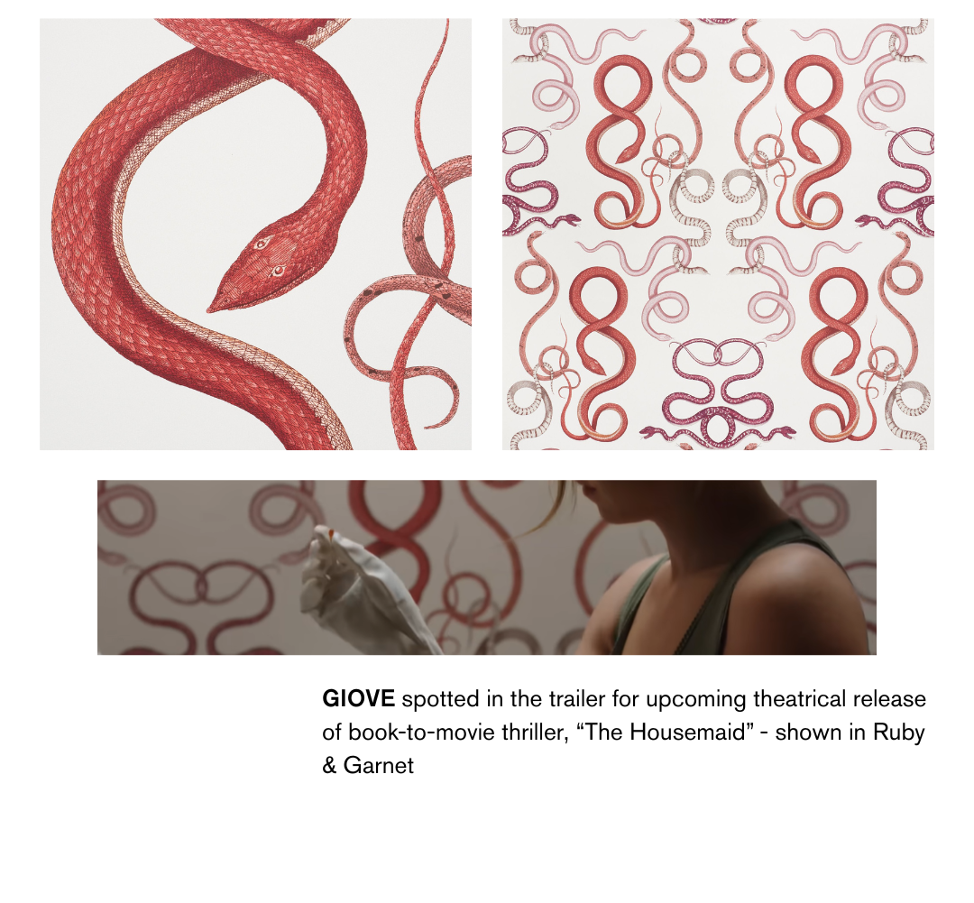 SPOTTED : GIOVE in the new trailer for The Housemaid, a highly anticipated book-to-movie thriller