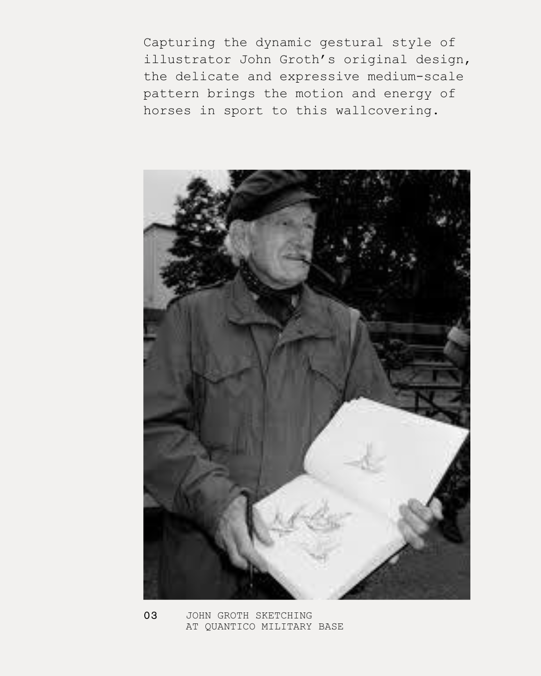 Inspired by John Groth's original design - meet TANBARK, a new wallpaper from BACKDROP's archival collection