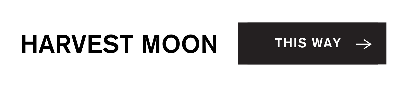 SHOP HARVEST MOON, BACKDROP'S WARM WHITE