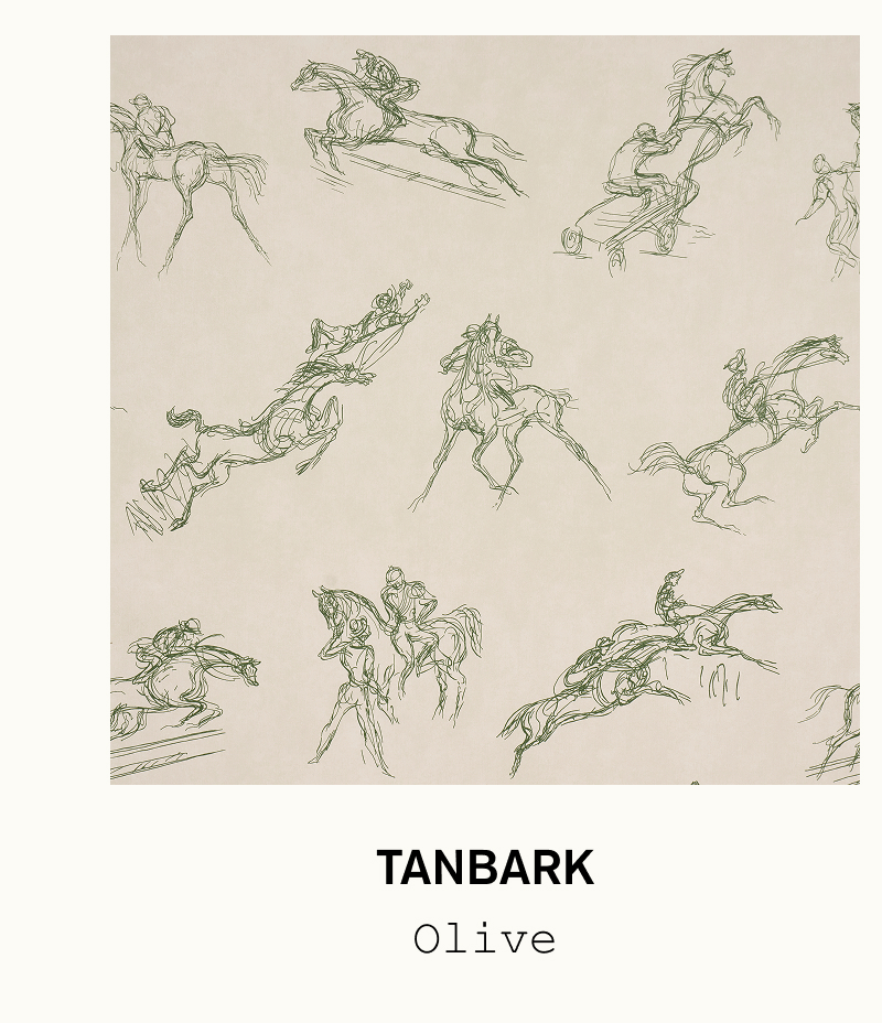 TANBARK in Olive