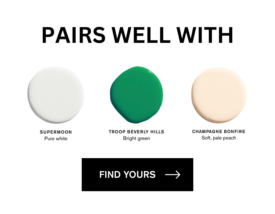 FIND YOUR PAINT HERE
