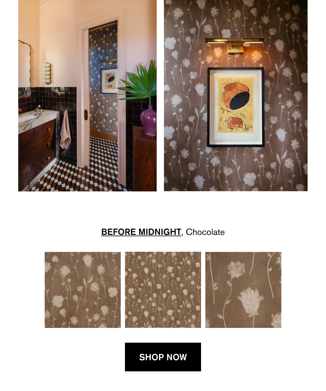 BEFORE MIDNIGHT in Chocolate, featured in Dabito's bathroom