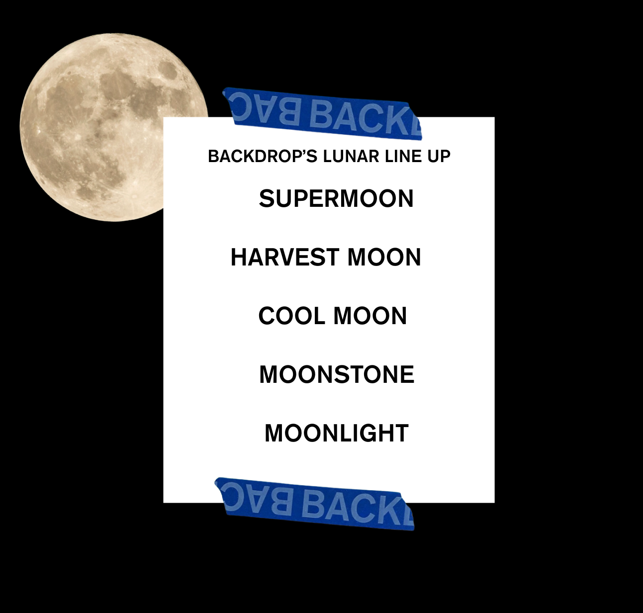 BACKDROP'S LUNAR LINE UP, a collection of white paint colors