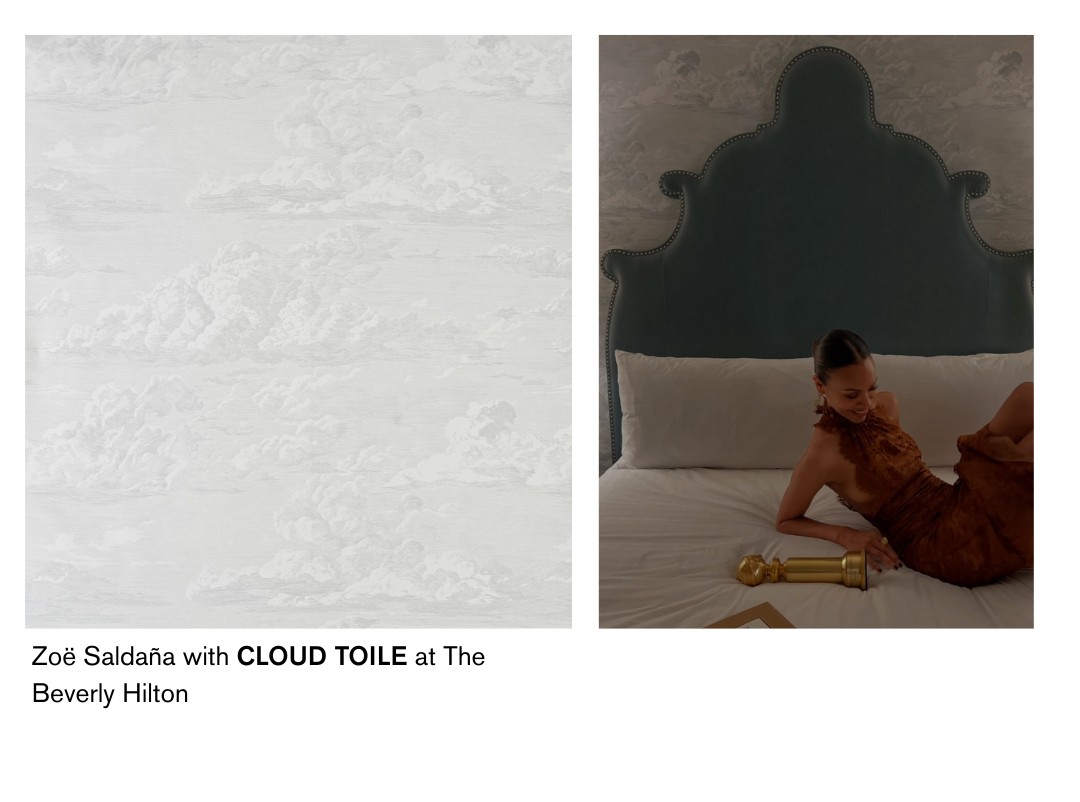 CLOUD TOILE, Zoe Saldana's Backdrop