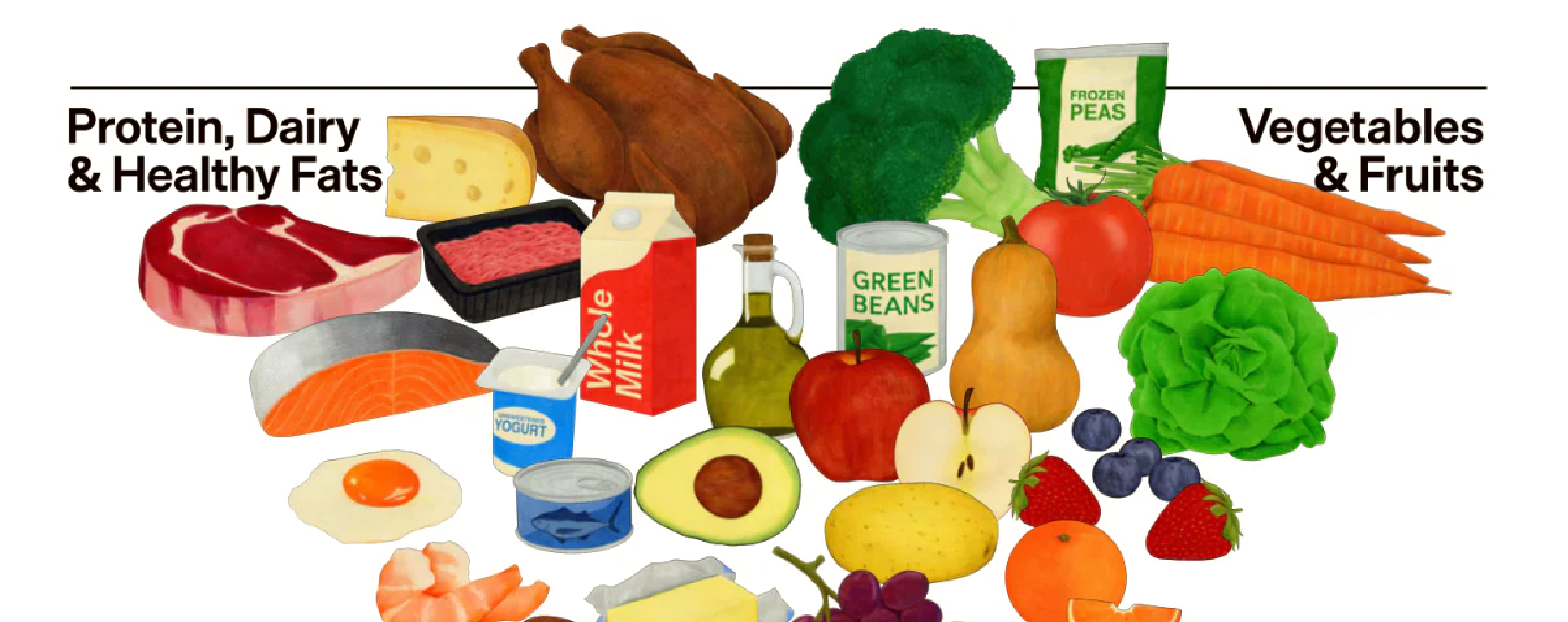 New Food Pyramid explained