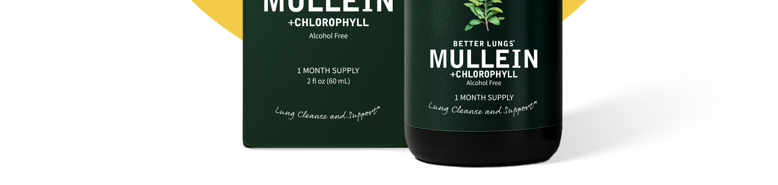 Doctor formulated Mullein + Chlorophyll Tincture