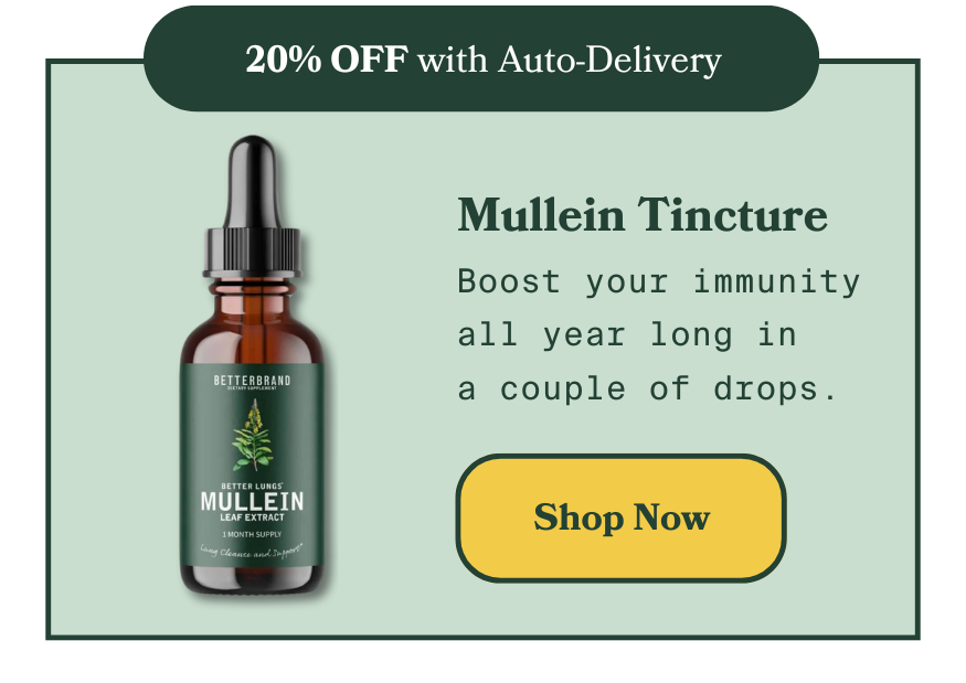 Mullein Tincture: Boost your immunity all year long in  a couple of drops.