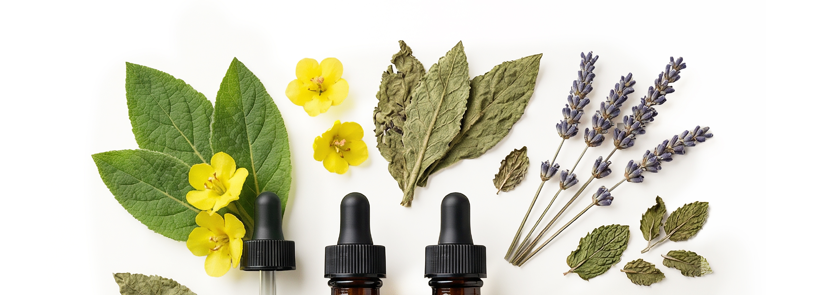 Doctor formulated Quit Smoking Bundle