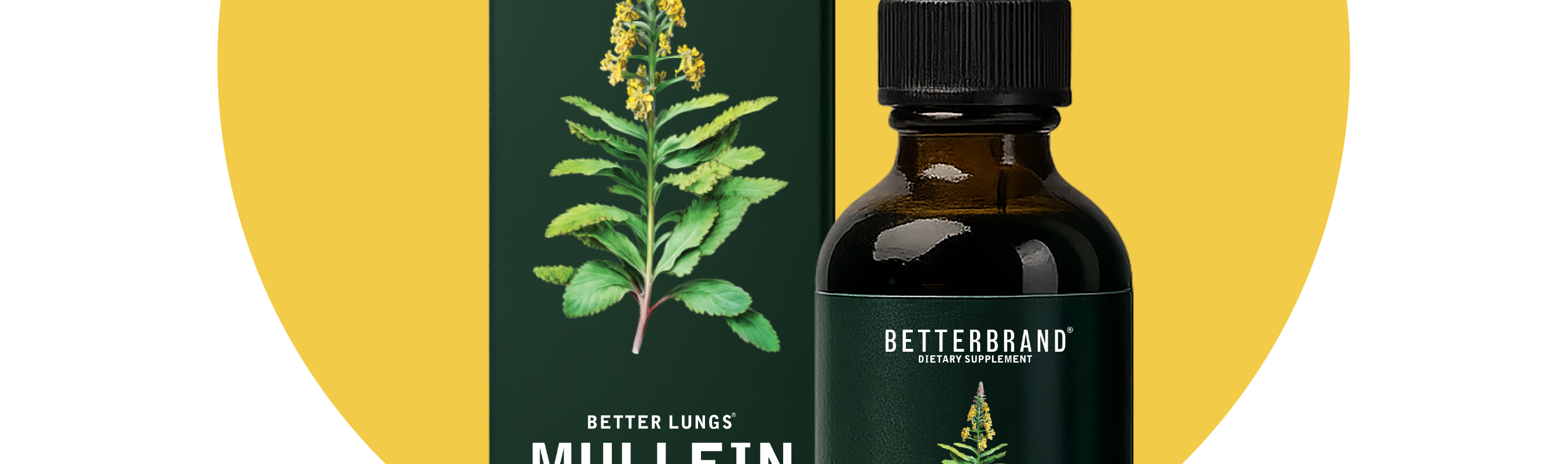 Doctor formulated Mullein + Chlorophyll Tincture