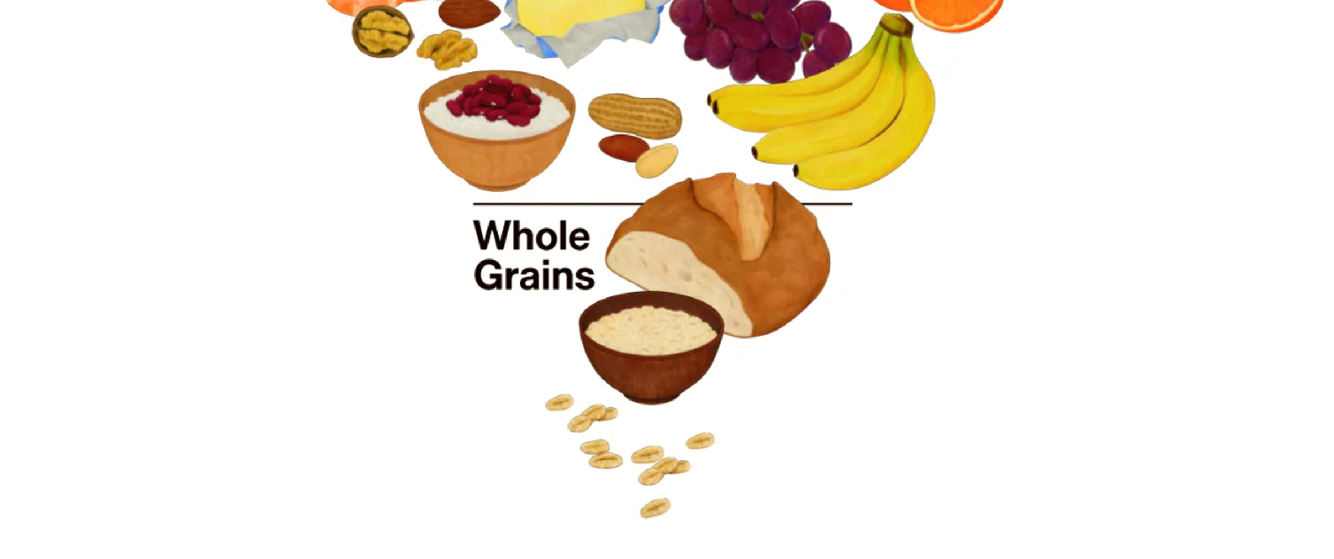 New Food Pyramid explained