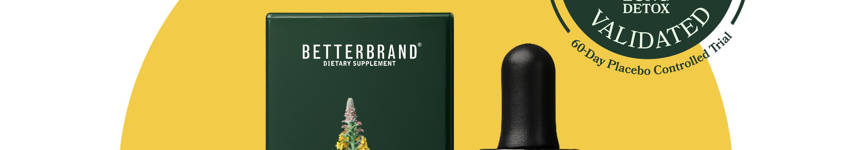 Doctor formulated Mullein + Chlorophyll Tincture