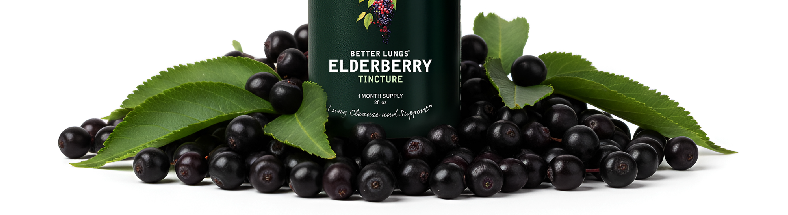 Elderberry Tincture for Allergy support