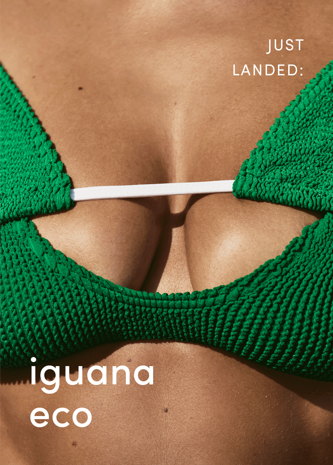 Iguana Eco