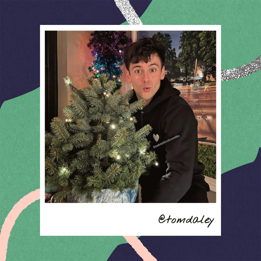 Xmas trees worth rocking around... The Stem