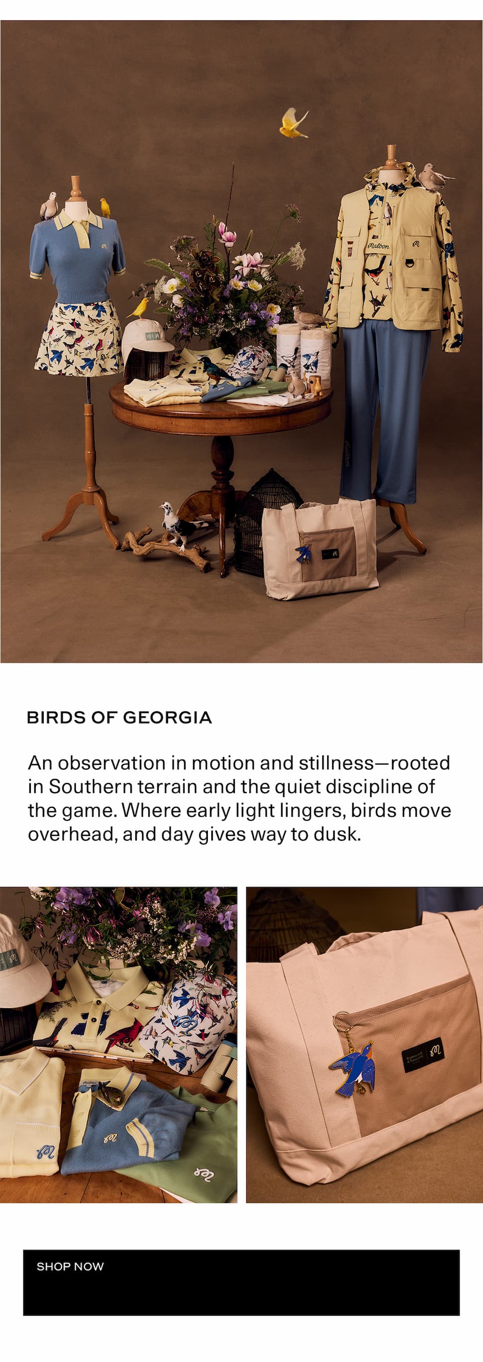 Birds Of Georgia