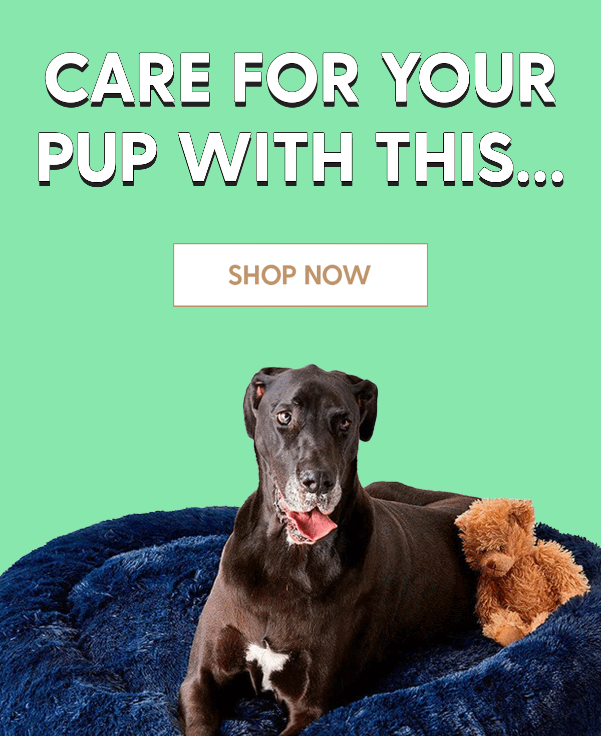care-for-your-pup-with-this