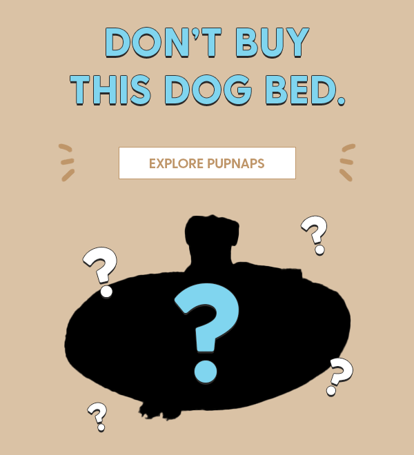 Don’t do it!! Reasons why a bed is a bad idea Pupnaps
