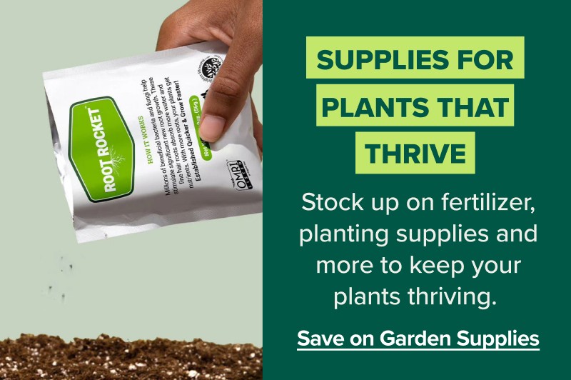 Supplies for plants that thrive. Save on garden supplies>>