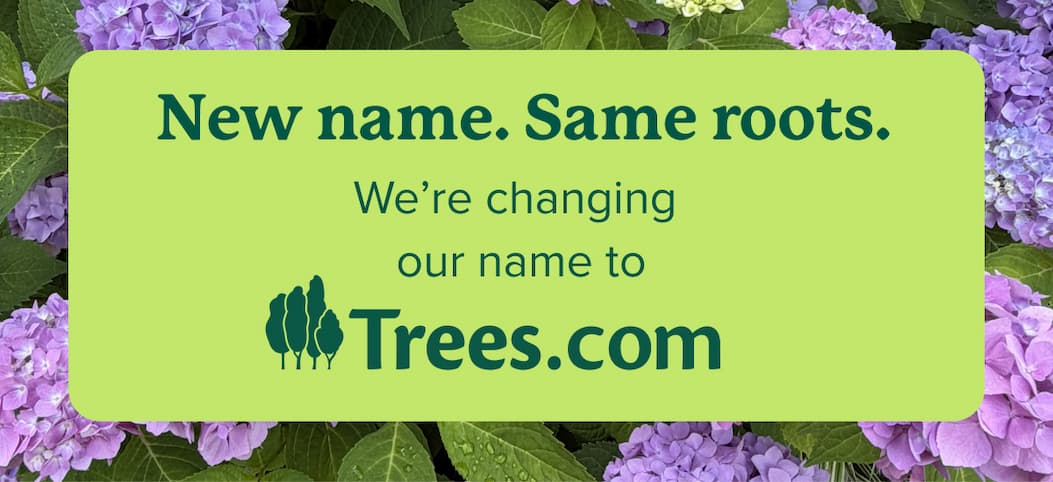New name. Same roots. We're changing our name to Trees.com