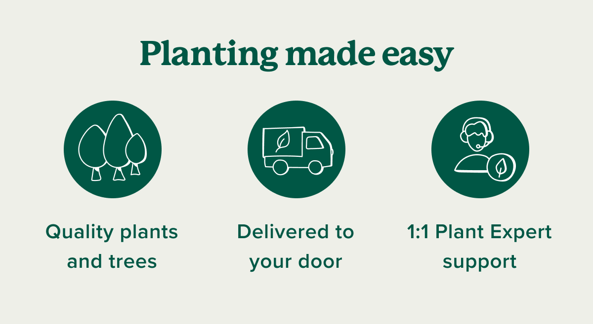 Planting made easy