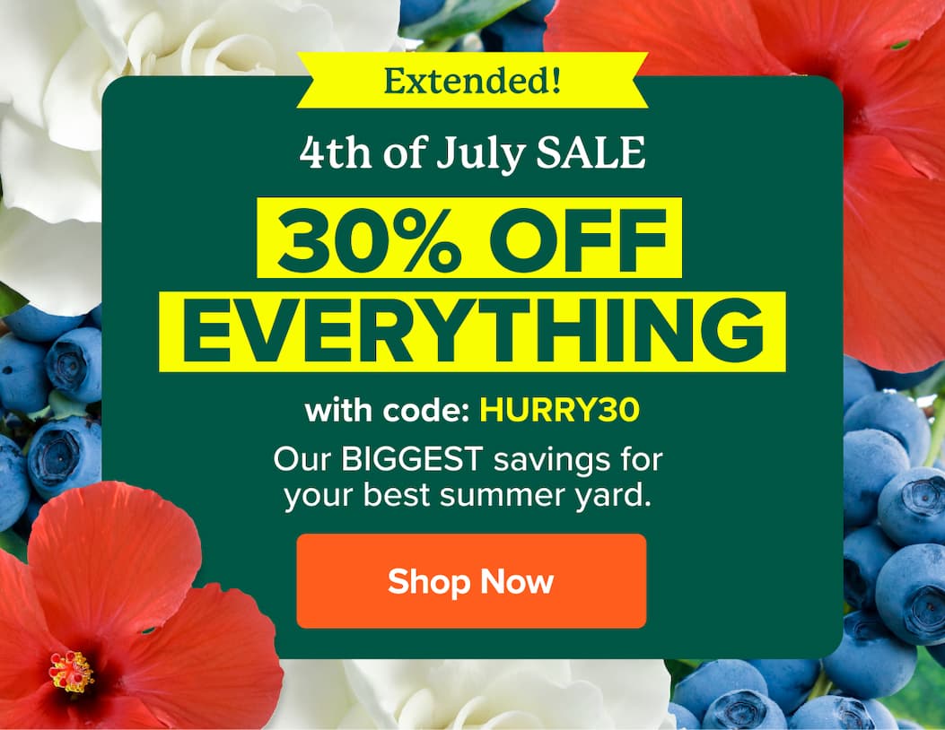 EXTENDED 4th of July Sale 30% OFF EVERYTHING with code: HURRY30. Our BIGGEST savings for your best summer yard. SHOP NOW>>