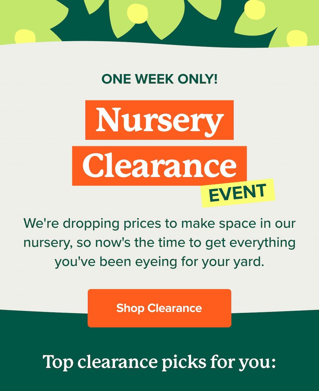 One week only: The Nursery Clearance Event! Shop Clearance Now>>