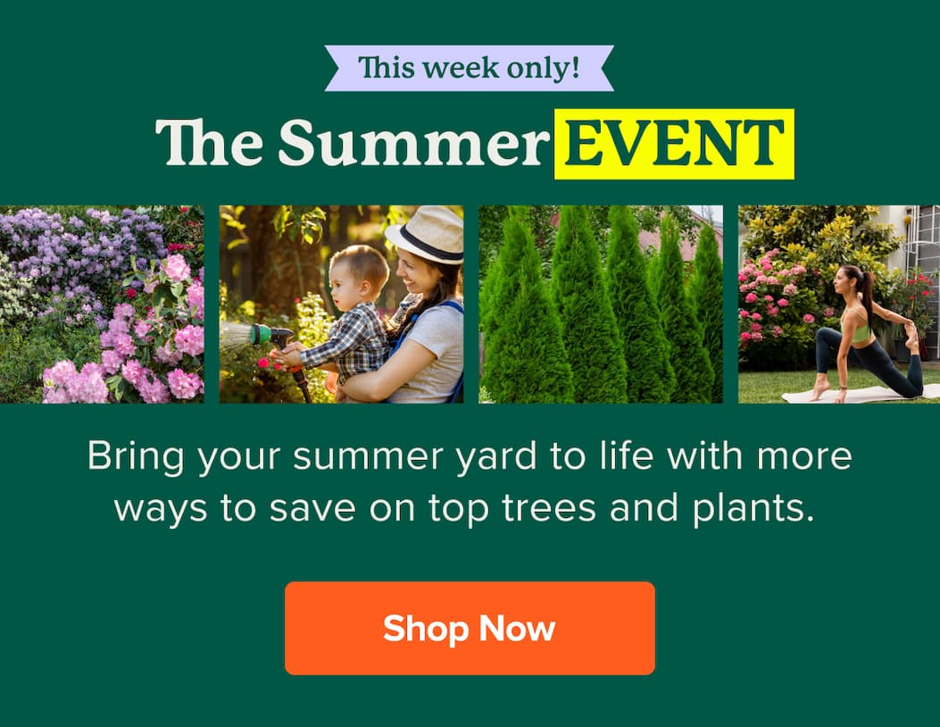 This week only! The Summer Event: Bring your summer yard to life with savings on everything your yard needs. SHOP NOW>>
