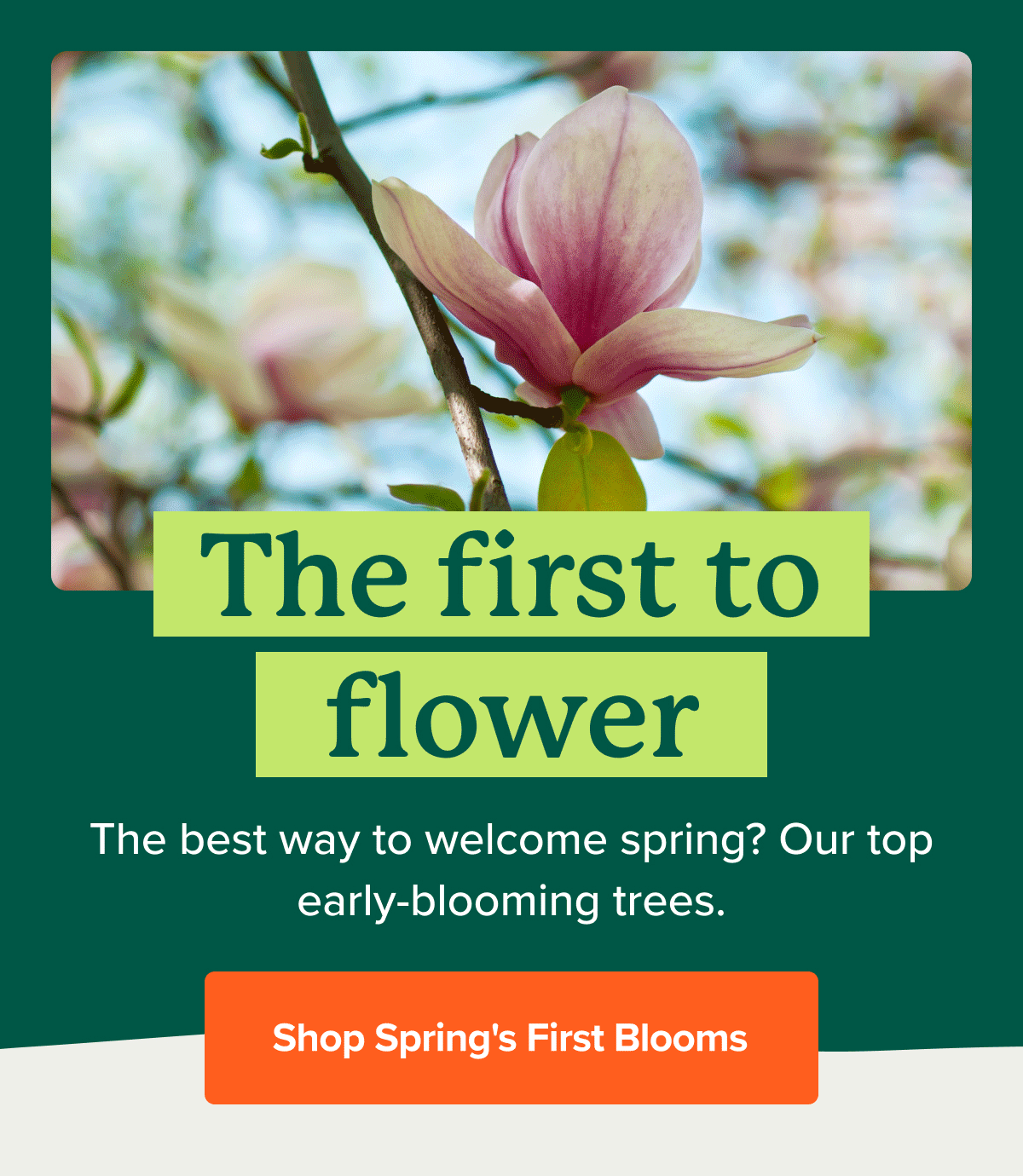 Grow the 1st blooms of the season 🌸 Fast Growing Trees