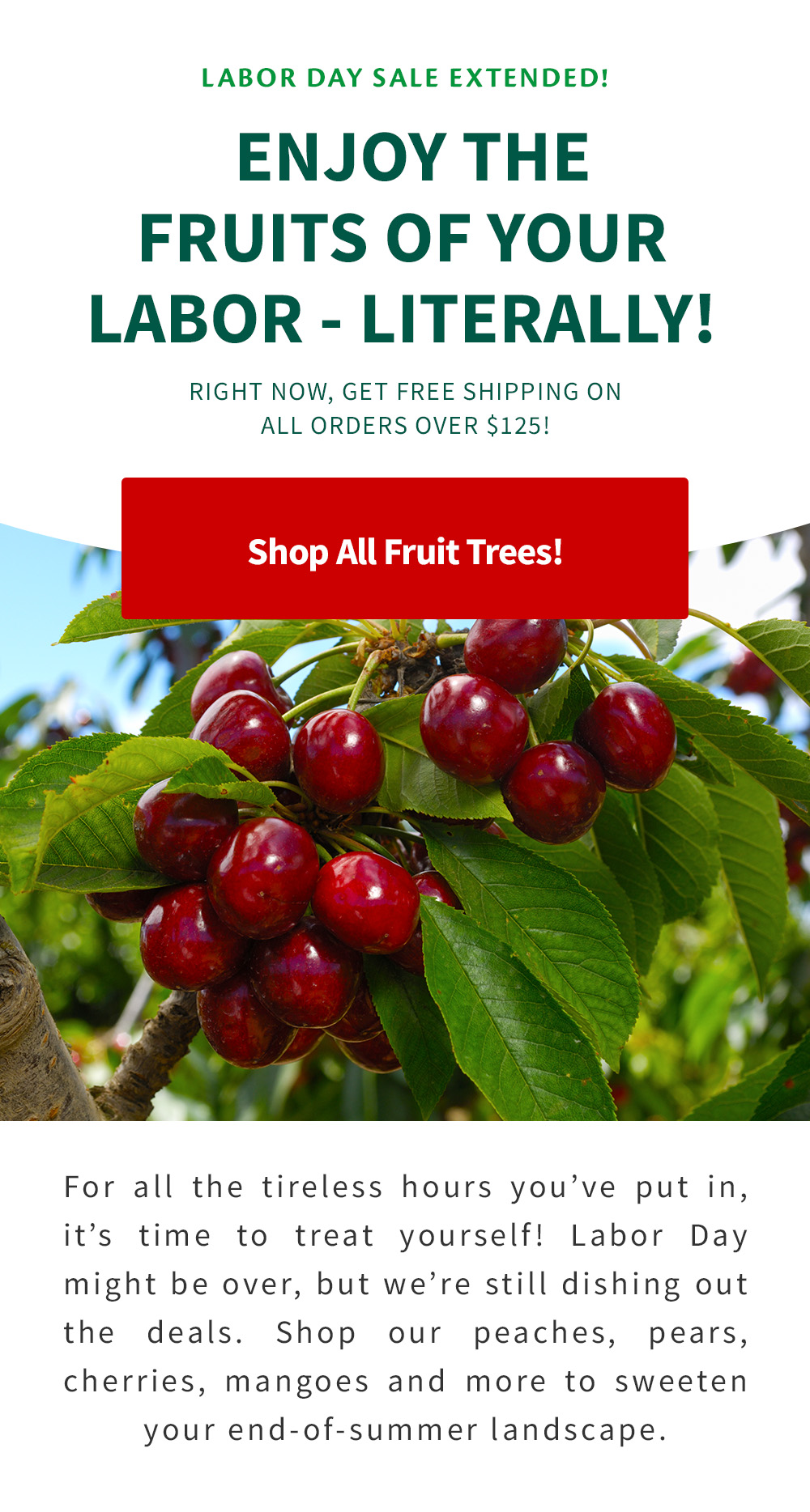 Labor Day Sale Extended 24 Hours! Fast Growing Trees