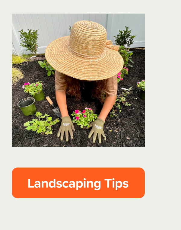 Landscaping tips