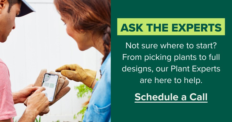 ASK THE EXPERTS Not sure where to start? From picking plants to full designs, our Plant Experts are here to help. SCHEDULE A CALL>>