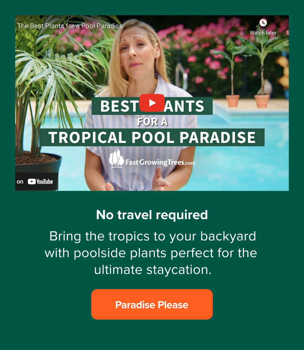 🌴 Fast Growing Trees, your summer just got a lot more relaxing. Fast