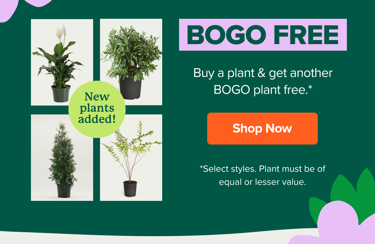 Treat yourself to SO many spring savings Fast Growing Trees