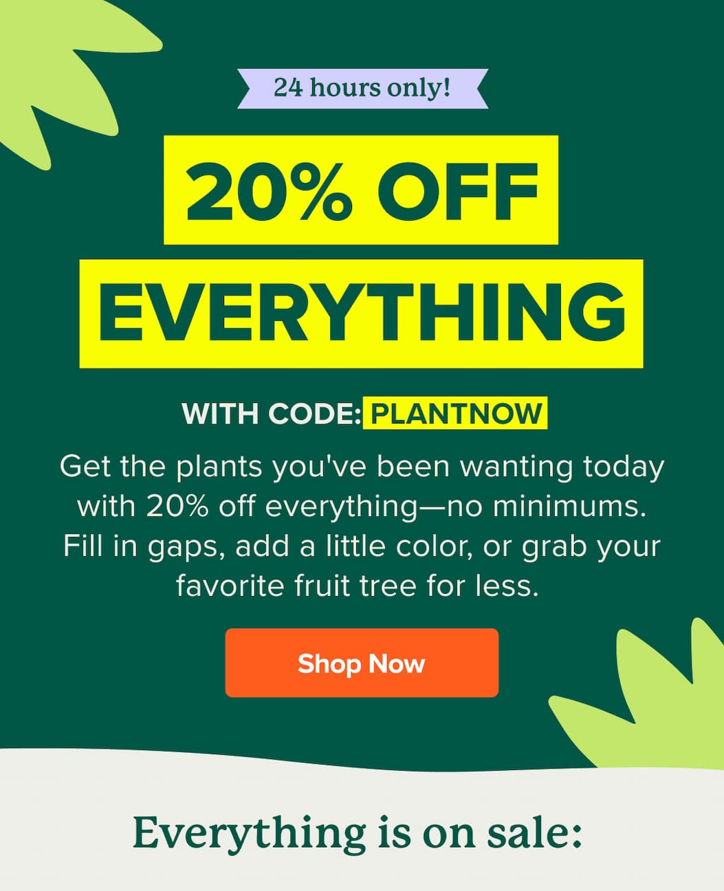 24 hours only! 20% off EVERYTHING with code PLANTNOW. SHOP NOW>>