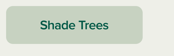 Shade trees