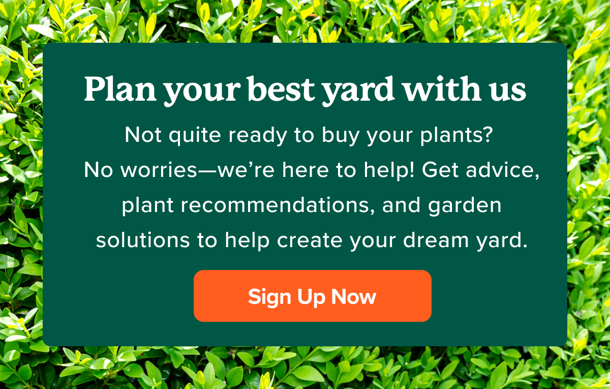 Plan your best yard with us