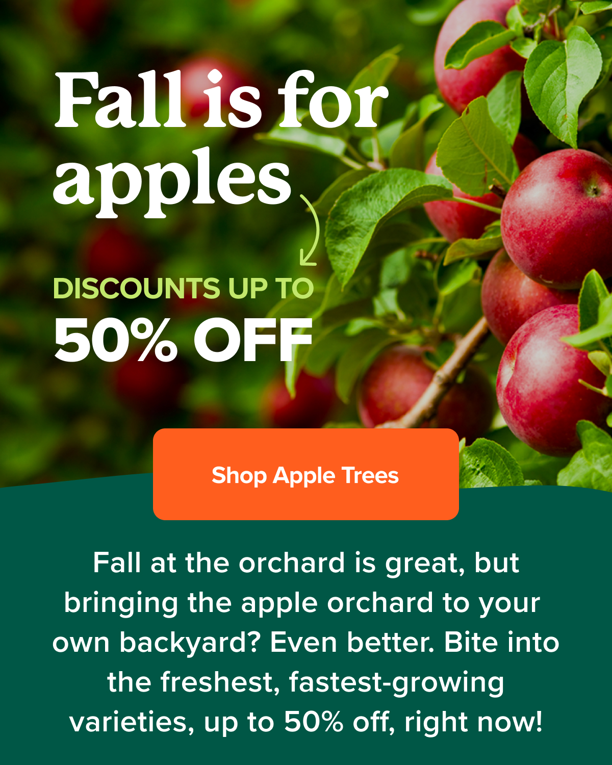 🍎 Up to 50 off for National Apple Week Fast Growing Trees