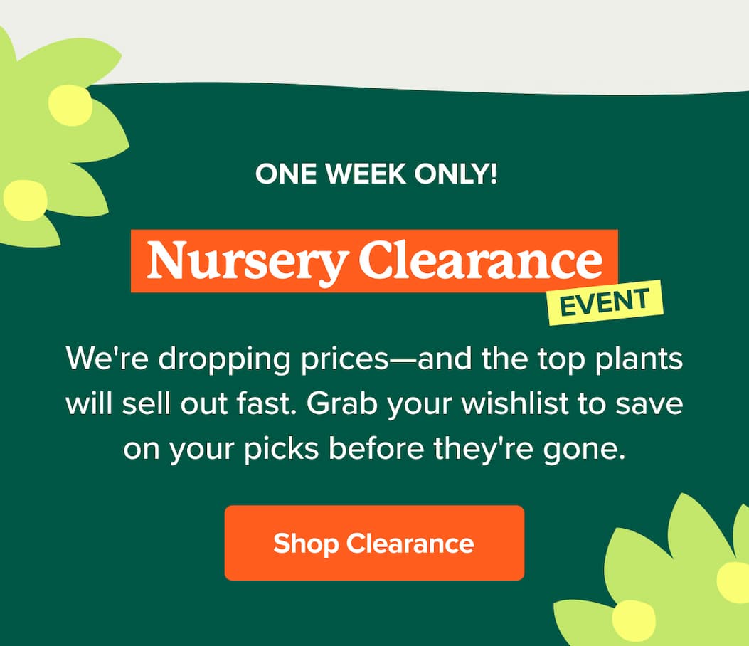 The Nursery Clearance Event is happening now! We're dropping prices—and the top plants will sell out fast. Grab your wishlist to save on your picks before they're gone. SHOP NOW>>