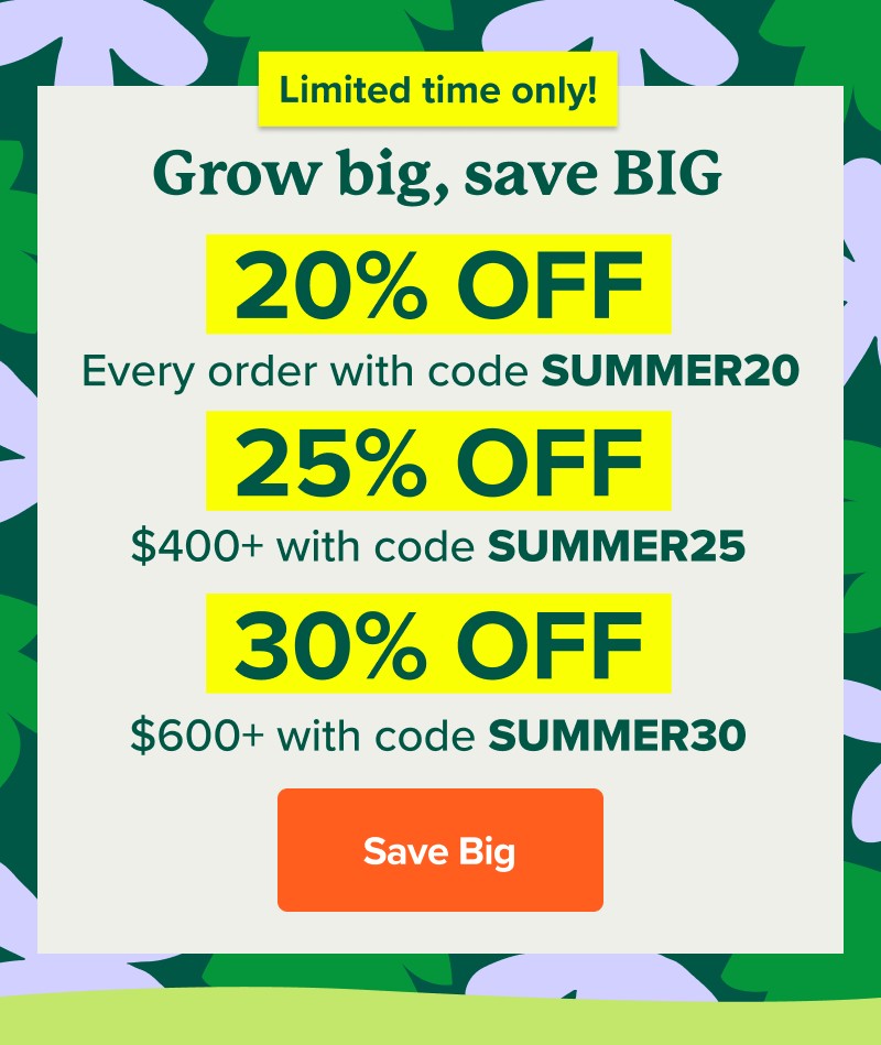 Limited time only! Grow big, save BIG 20% OFF Every order with code SUMMER20 25% OFF $400+ with code summer25 30% OFF $600+ with code Summer30 Save Big