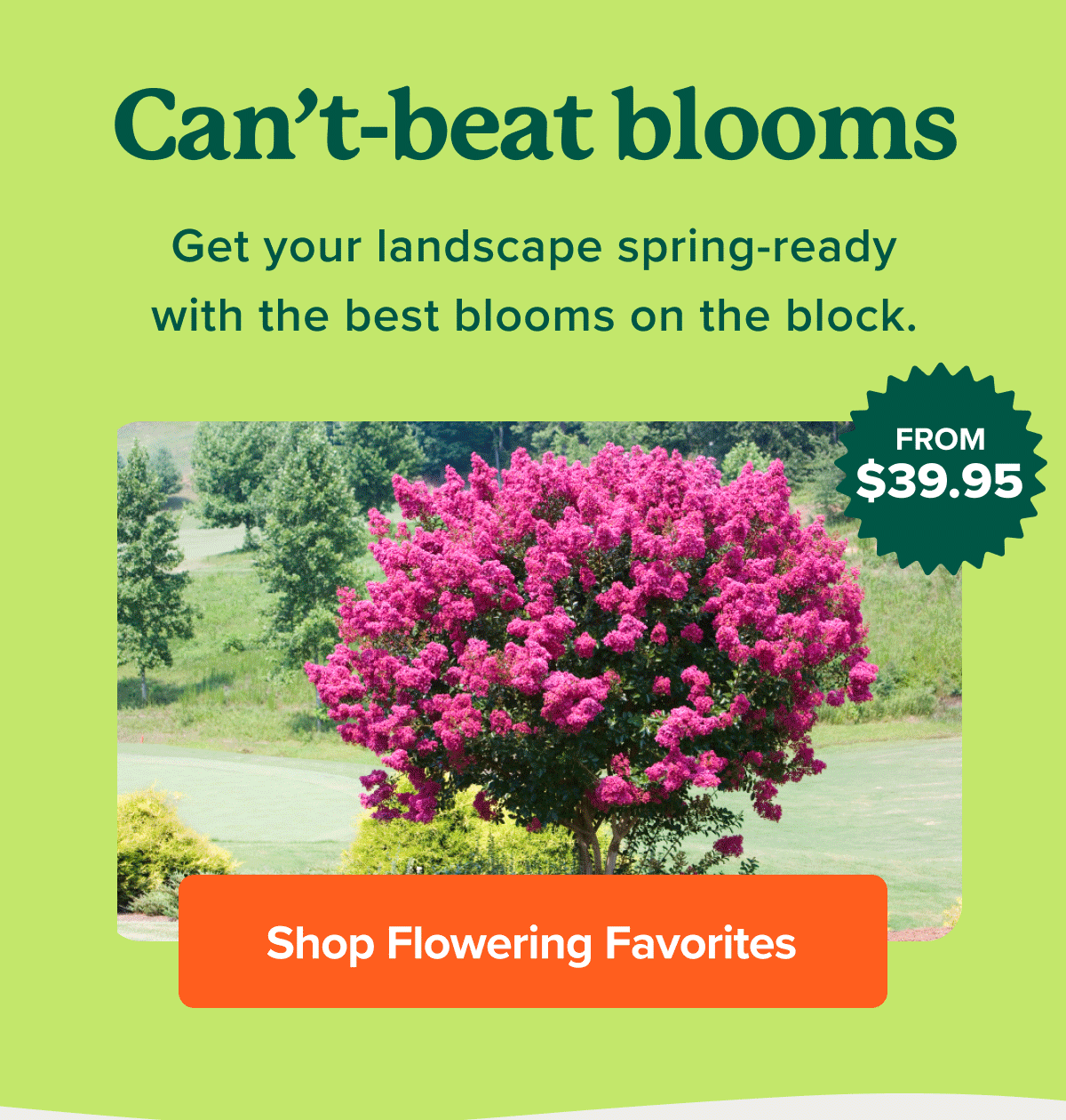 🌼 Flower power 🌸 Fast Growing Trees