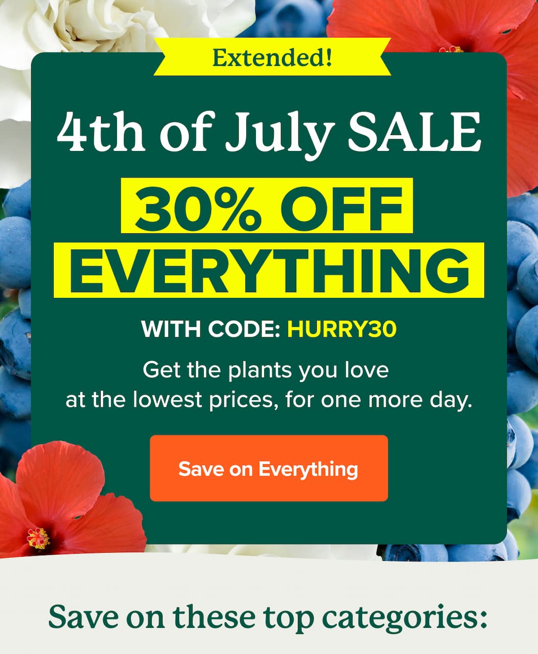 EXTENDED! 30% OFF EVERYTHING with code: HURRY30 for one more week