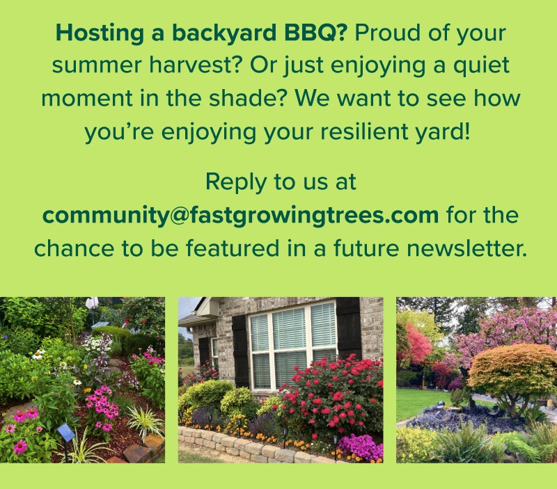 Hosting a backyard BBQ? Proud of your summer harvest? Or just enjoying a quiet moment in the shade? We want to see how you’re enjoying your resilient yard! Reply to us at community@fastgrowingtrees.com for the chance to be featured in a future newsletter.