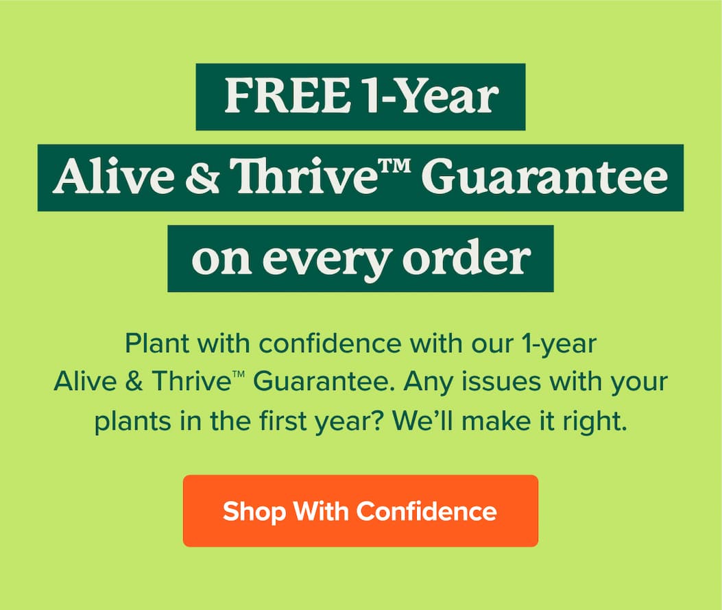 Plant with confidence with our 1-year Alive & Thrive™ Guarantee. Any issues with your plants in the first year? We’ll make it right.