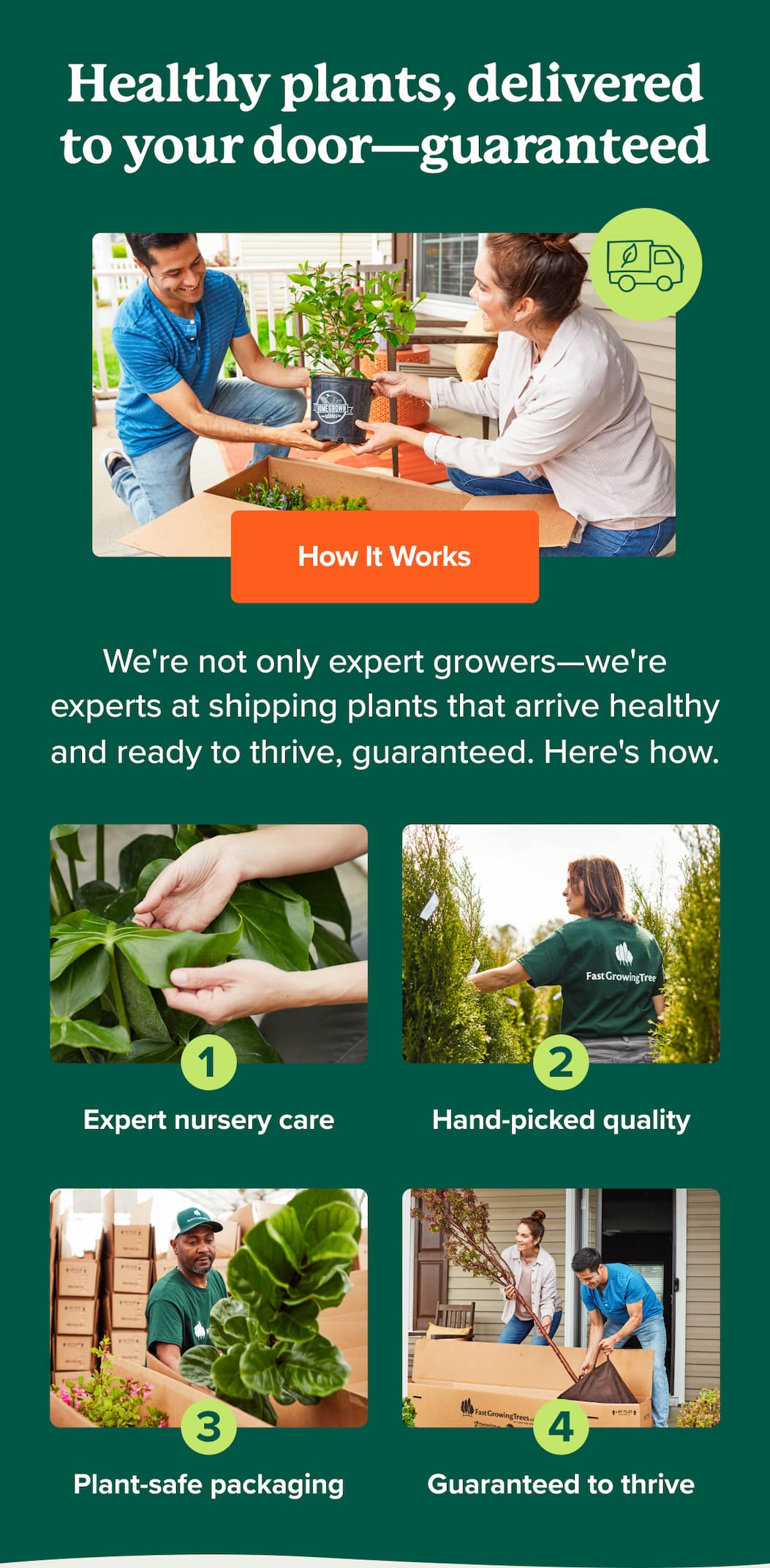 Healthy plants, delivered to your door–guaranteed. We're not only expert growers we're experts at shipping plants that arrive healthy and ready to thrive. Here's how>> 